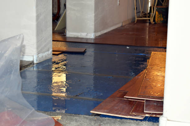 Professional Flood Damage Repair technician working in Maybee, MI